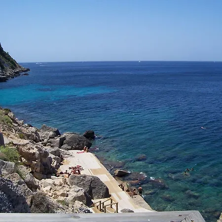 Andrea S'Arenal