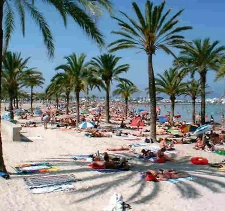 Andrea El Arenal (Mallorca)